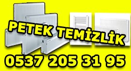 Beylikdüzü Kombi Servisi