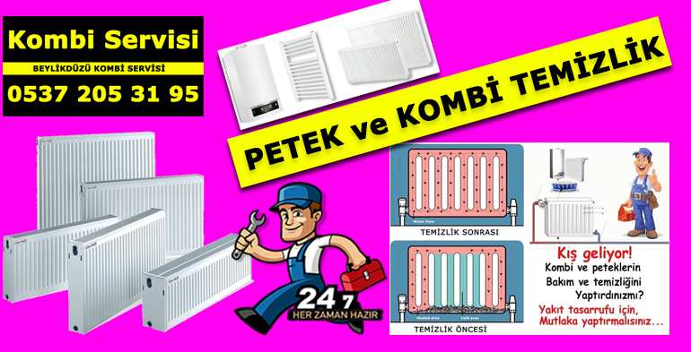 Beylikdüzü Petek Temizlik Servisi